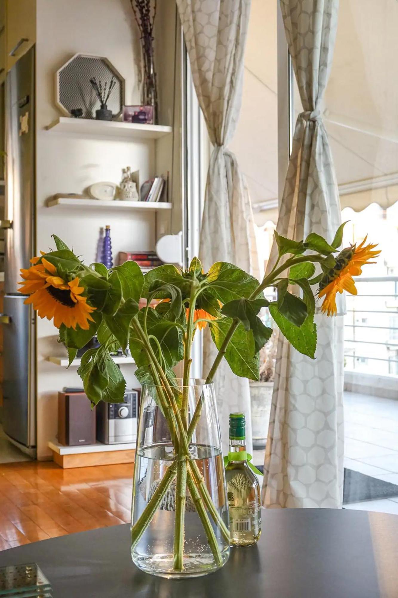 Skyview Penthouse / Central Athens Luaran gambar